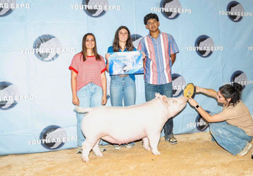 Top Cut Champions