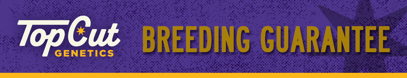 Breeding Guarantee