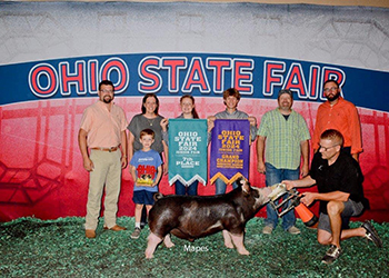 Champion Berkshire Barrow & 7th Overall Barrow
2024 Ohio State Fair Jr. Show