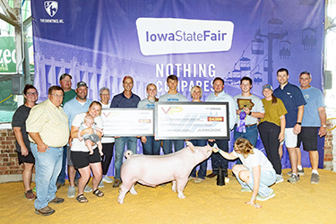5th Overall & Reserve Champion Light Cross
2025 Wyoming State Fair