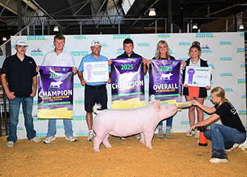 3rd Overall Gilt & Champion Yorkshire Gilt
2025 Minnesota State Fair