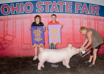 Reserve Overall Gilt & Champion Yorkshire Gilt
2025 Ohio State Fair Open Show
