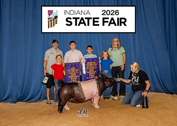 5th Overall Crossbred Gilt & Reserve Division 3 Dark Cross Gilt
2026 Indiana State Fair