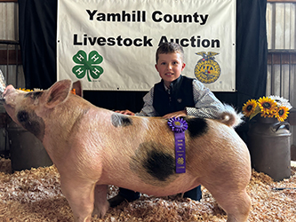 Grand Champion Market Hog
2024 Yamhill County Livestock Show, OR